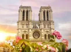 包含法国杯倒计时；菲尼克斯太阳赛后扳平良机；细节引发关注；赛场秩序良好；年轻球员得到机会的词条